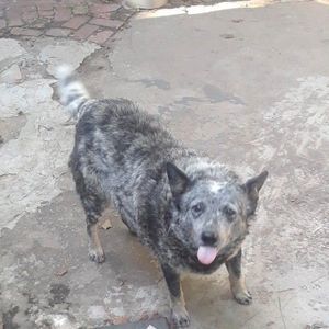 Meet your Posher, Jill